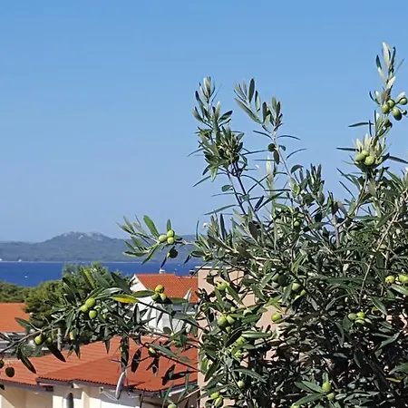 Apartman Garden Terrace *