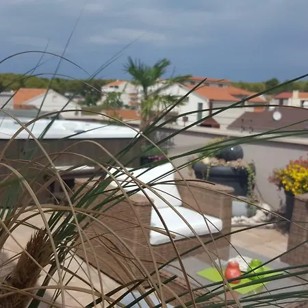 Garden Terrace Apartman *